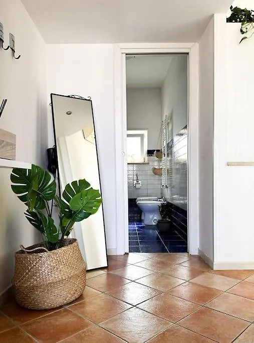 Bilocale Brezza Marina Apartment Fiumicino Italy